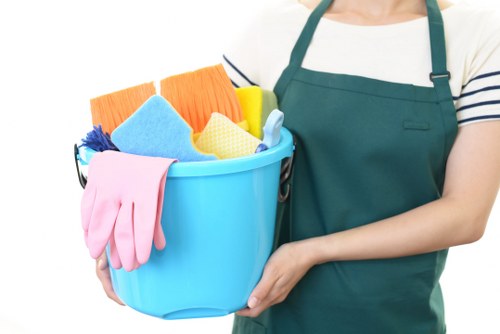 Professional carpet cleaner in Clapham treating a living room carpet