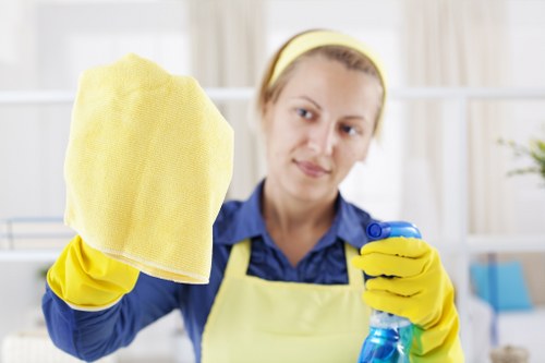 Clapham Cleaner cookie policy introduction with essential website cookies