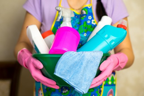 Clapham Cleaner team introducing professional cleaning services