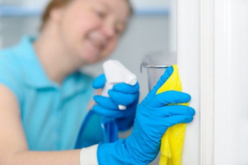 Professional cleaners in Clapham servicing a modern home