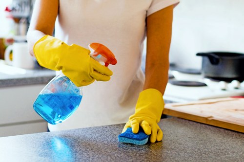 Regular domestic cleaning in Clapham flat with vacuumed floors