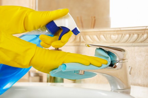 Professional office cleaning service in a Clapham workplace