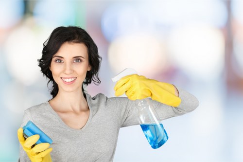 Clapham oven cleaning specialist restoring a kitchen appliance
