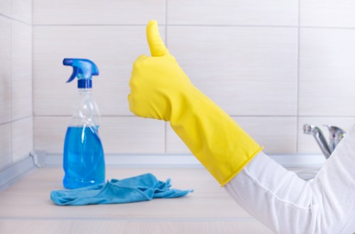 Domestic window cleaning service for a Clapham home