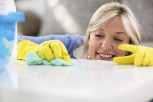 Professional cleaner performing deep cleaning in Clapham