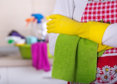 Thorough oven cleaning service in Clapham for homes and rentals