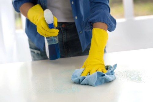 Stain removal and carpet cleaning in a Clapham apartment