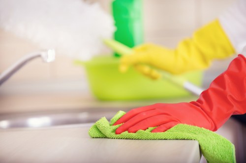 End of tenancy cleaner in Clapham cleaning a bathroom